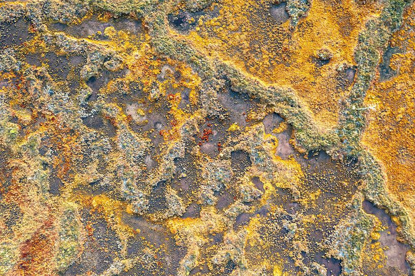 Kleurrijk abstract moeraslandschap van bovenaf gezien. van Jeroen Kleiberg