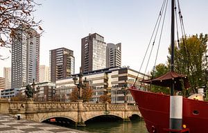 Rotterdam sur Lorena Cirstea