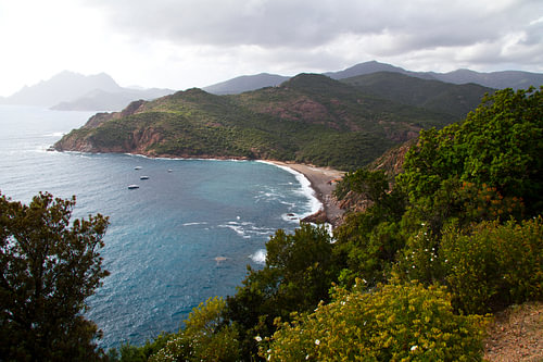 Corsica