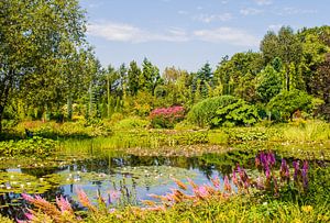 Schöner Garten in den Niederlanden