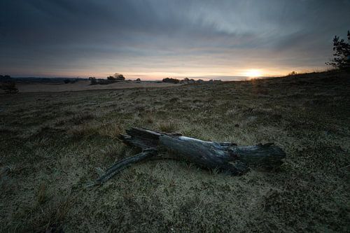 Lange sluitertijd Kootwijkerzand
