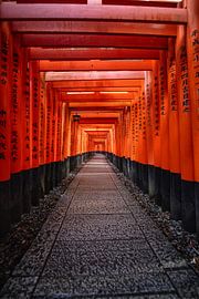 Portes Torii mystiques au lever du soleil - Silence spirituel au Japon sur Michael Bollen