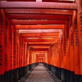 Mystieke Torii Poorten bij Zonsopkomst – Spirituele Stilte in Japan van Michael Bollen
