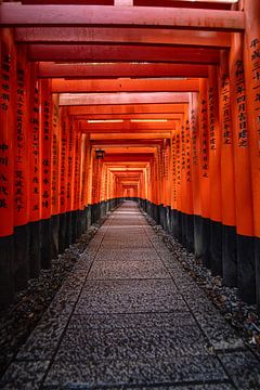 Mystieke Torii Poorten bij Zonsopkomst – Spirituele Stilte in Japan van Michael Bollen
