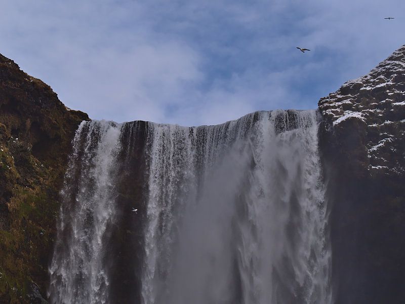 Falling Skógafoss in Iceland by Timon Schneider