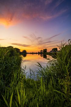 Doorkijkje naar de kreek