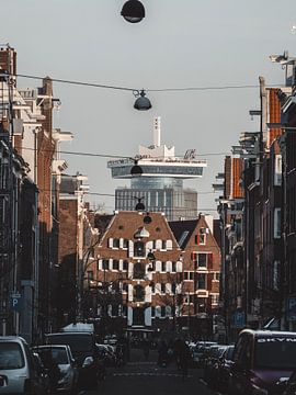 De Adam Toren van Steven Schmitz