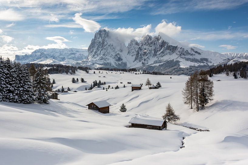 Winter on the Alpe di Siusi par Michael Valjak