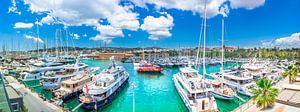 Yachten im Yachthafen von Palma de Mallorca, Balearische Inseln