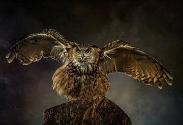 The European Eagle Owl by Natascha Worseling