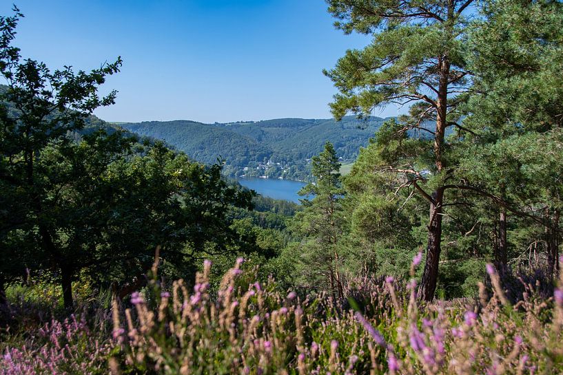 The Engelsblick viewpoint near Nideggen by David Esser