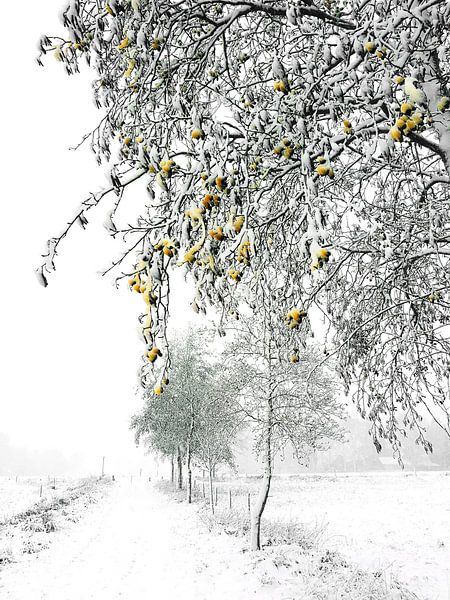 Winterse 'sferen' von Erna Kampman