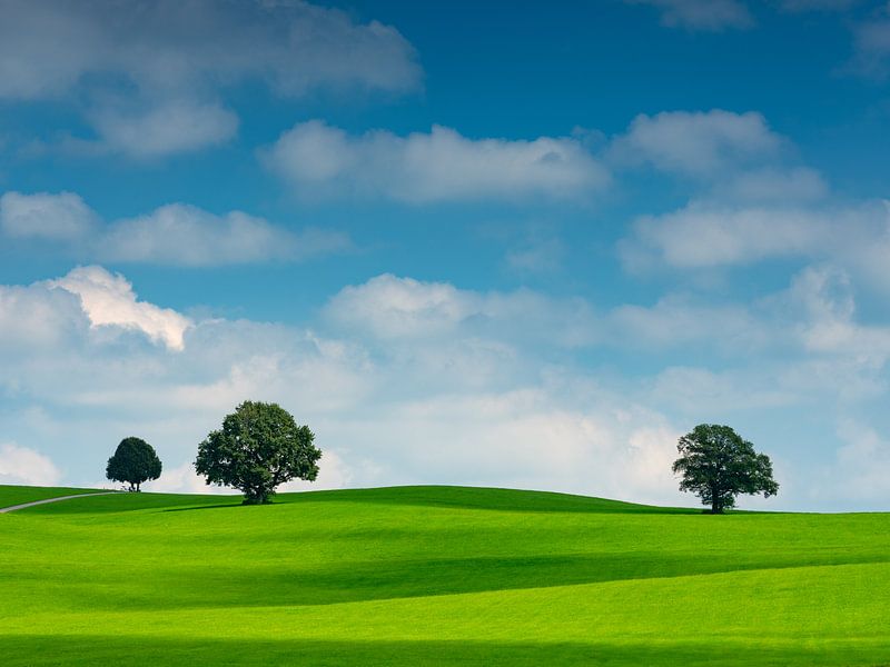 Wolkensfeer met bomen van Andreas Müller