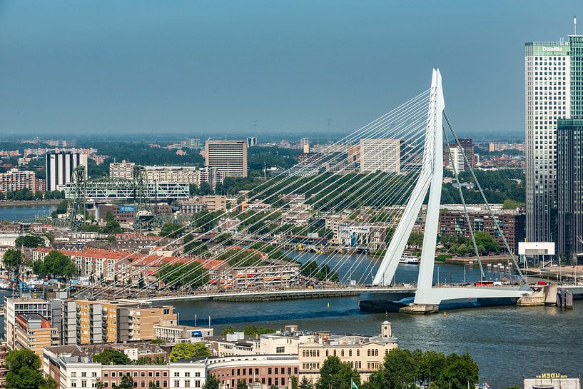 Erasmusbrücke Rotterdam vom Euromast aus. von Brian Morgan