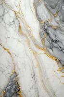 Marble Texture | White grey gold black