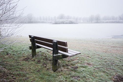 Bank in winterlandschap