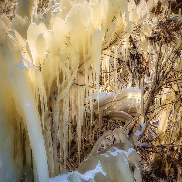 Sculpture de glace par Peter Bolman