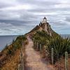 Nugget point lighthouse, in het zuidoosten van Nieuw Zeeland van Jeroen van Deel