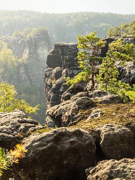 Bärenhornaussicht, Sächsische Schweiz - Kleines Bärenhorn von Pixelwerk