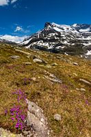 Hohe Tauern