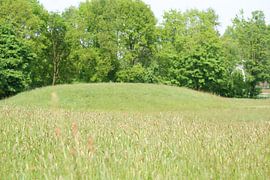 Een open veld von Peter Hartman