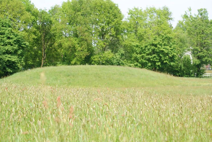 Een open veld by Peter Hartman
