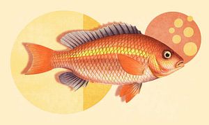 a Retro Fish (lots of yellow and orange) by Marja van den Hurk