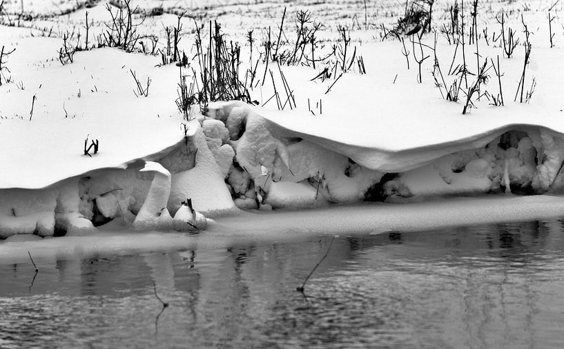 snow verge 1 by joyce kool