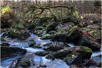 In de rivier
