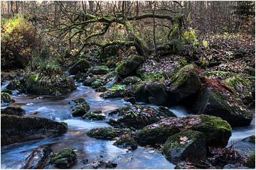 In de rivier van ARTDesign-Fotografie