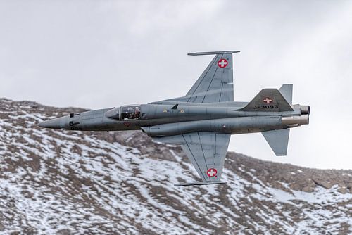 Northrop F-5E Tiger II van de Zwitserse Luchtmacht.
