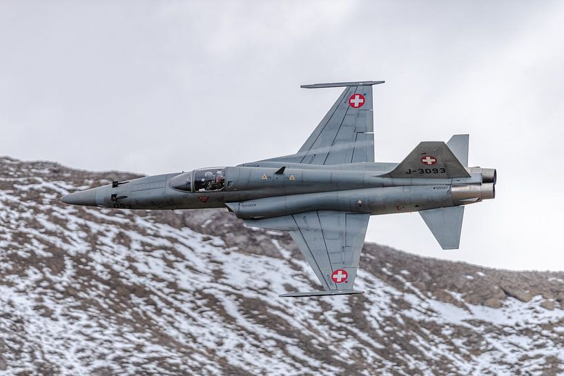 Schweizer Northrop F-5E Tiger II. von Jaap van den Berg