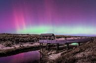 Northern Lights Petten Netherlands 2023 by Sebastiaan van Stam Fotografie thumbnail