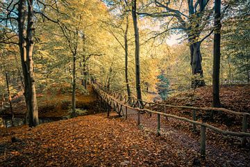 A Bridge to Far van Marco de Graaff