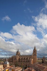 Ancienne et nouvelle cathédrale, Salamanque, Castille et Léon, Espagne