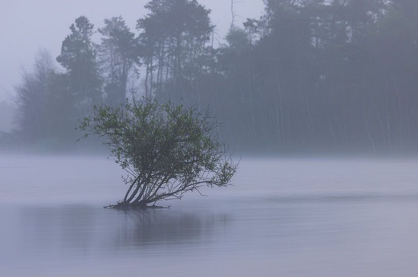 Dwingelderveld - Drenthe (Netherlands) by Marcel Kerdijk