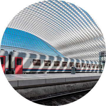 Station Liège-Guillemins van Midi010 Fotografie