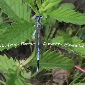 casper klijnhout Profile picture