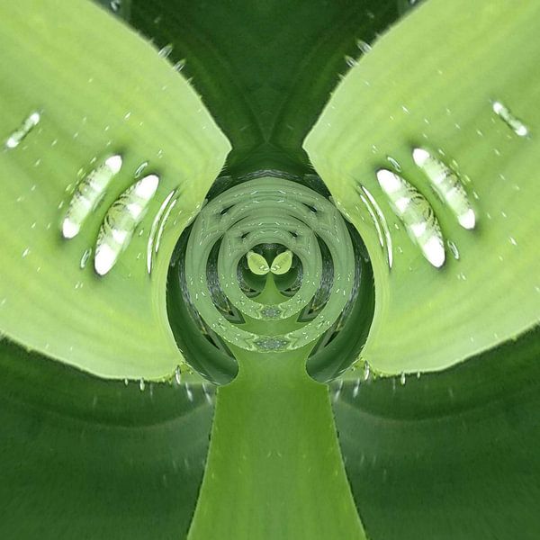 Ode aan de natuur van Nina IoKa