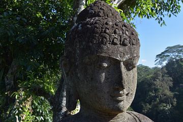 Buddha in Großaufnahme von Bianca ter Riet