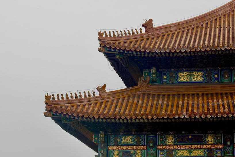 The roofs of the Forbidden City by Julia Menso