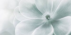 Blume in blau-grau