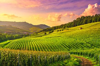 Blick auf die Weinberge der Langhe in Barolo. Piemont, Italien