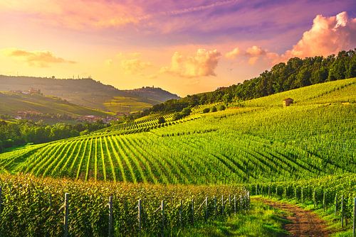 Langhe vineyards view in Barolo. Piedmont, Italy