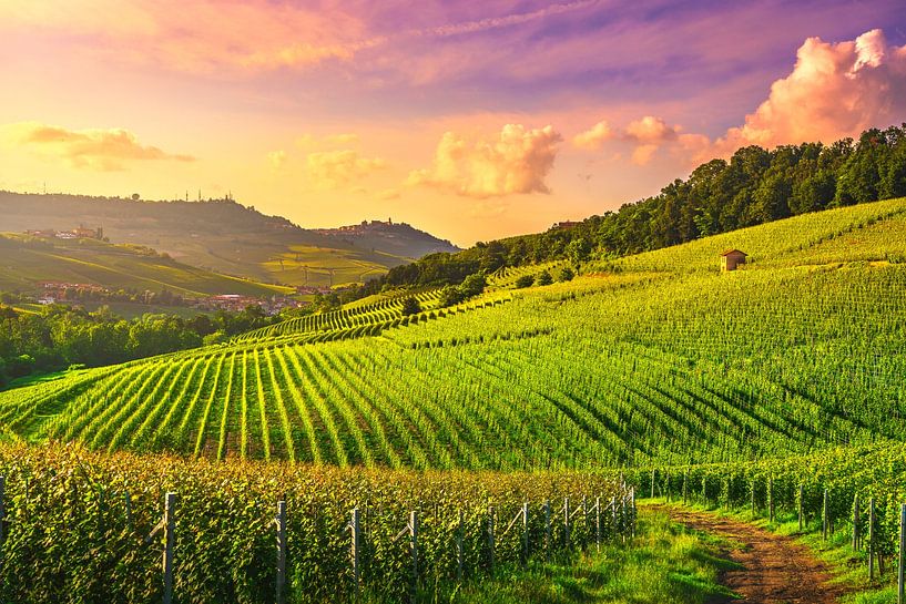 Langhe wijngaarden in Barolo. Piemonte, Italië van Stefano Orazzini