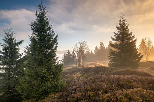 Sommige brokken van Steffen Henze