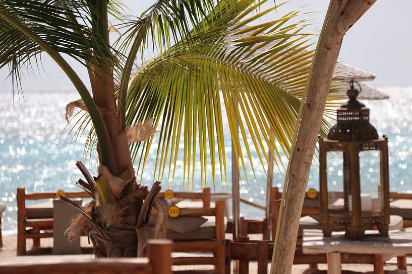 Quand allons-nous repartir en vacances ? par Silvia Weenink