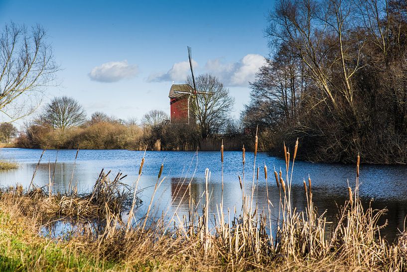 Molen van Ivonka Dopieralski