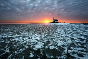 Pferd von Marken im Winter