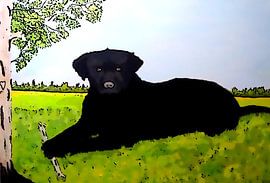  BLACK CURLY COMIC by Aat Kuijpers